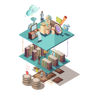 Enterprise Network LAN
