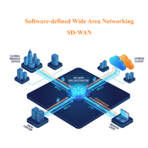 Software Define Wide Area Network